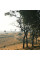 Кава ISLA в зернах, моносорт Бразилія Minas Gerais, 200 г (00001844)